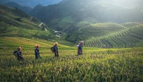 Capture the serene beauty of Ta Van’s cultural landscapes